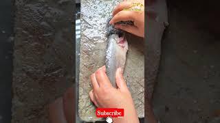 Fish cleaning #subscribe #fish #viralvideo #youtube #shorts