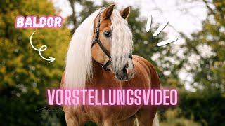 MEIN NEUES PFERD - VORSTELLUNGSVIDEO 