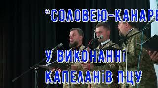 "Соловею канарею...” у виконанні капеланів ПЦУ Чернівецько-Буковинської єпархії