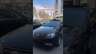 Gentraga TRACKER Luk  Panorama Quyildi Xammaga Nasib Qilsin  #automobile #ilhomikromovich