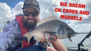 Big Bream on Cranka Crabs and the Muss - Lowrance Active Target from the yak!