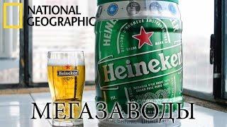 Пиво Heineken. Вкус Пива Который Знают Все! - Мегазаводы | Документальный фильм