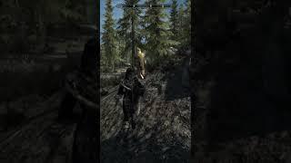 ..Sureeeee.... #skyrim #funnyclips #gaming #funnymoments