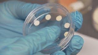 Smart label could one day let you know when to toss food and cosmetics - Headline Science
