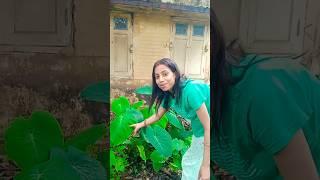 #video ️
