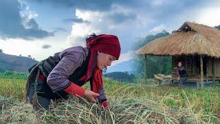 Build a fireplace with stone, clay and straw - shelter in bamboo house ( #1 ) Full 4K