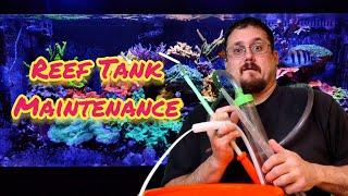 Reef Tank Maintenance