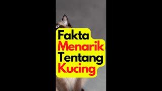 Fakta Menarik Tentang Kucing, Cat Lovers harus Tahu !! #shorts #fyp #subscribe #viral