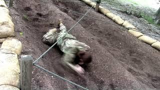 Basic Camp, 1st Regiment | Obstacle Course