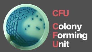 CFU (Colony-Forming Units)