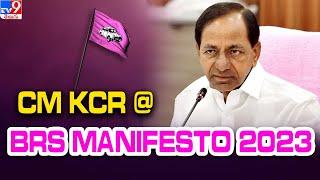 FULL : CM KCR Releases BRS Manifesto for Telangana Assembly Elections 2023  -TV9