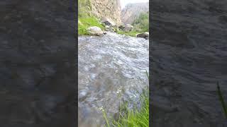 Beautiful river