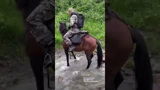 Horse hiking with KhabibIslam Makhachev daily vlog