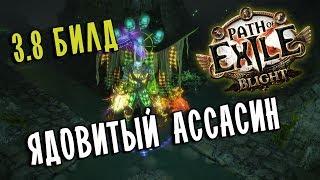 Убийца Круг Яда (Venom Gyre)  Мой стартовый билд Скверны  Path of exile 3.8 (Blight 3.8)