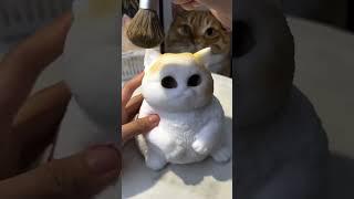 This is my favorite squishy cat.#squishy #diy #cat #handmade #cute #kitty #art