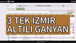 24 Kasım 2024 Pazar İzmir at yarışı tahminleri İzmir altılı ganyan tahminleri | Oğulcan Karaca