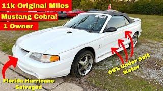 This 1 Owner 11k Mile Cobra was 60% Under Water - Can it be Saved?