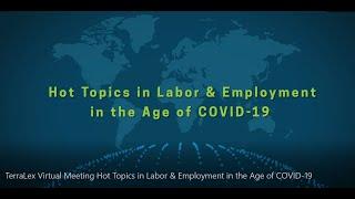 TerraLex Virtual Meeting: Hot Topics in Labor & Employment in the Age of COVID 19