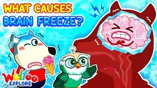 Too Cold  Why Do We Get Brain Freeze? Wolfoo Explore  - Human Body | Educational Videos for Kids