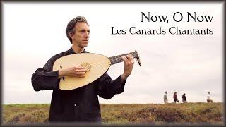 John Dowland | Now, O Now | Lute Song by Les Canards Chantants