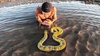 Exploring For Venomous Sea Creatures In Tide Pools