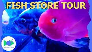 FISH STORE TOUR - Over 10,000 Gallons To Explore