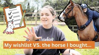 The horse I wanted vs. the horse I bought... | Riding With Rhi