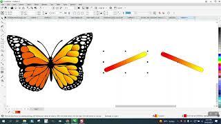 Corel Draw Tips & Tricks Interactive Fill Tool Mirror FILL