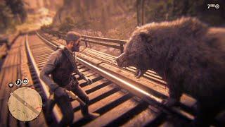 Red Dead Redemption 2 - Grizzly Bear Attack