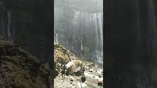 Air Terjun Tumpak Sewu Lumajang Malang #airterjun #tumpaksewu #cobansewu #waterfall #coban #panorama