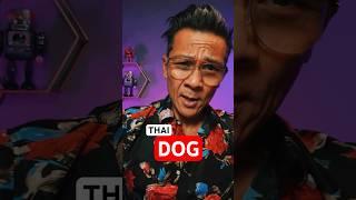 BASIC THAI LESSON : How to say DOG for Beginners & Travelers #shorts #learnthai #thailesson