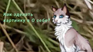 Как сделать о себе в catwar?