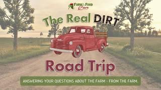 Real Dirt Road Trip Egg Farm