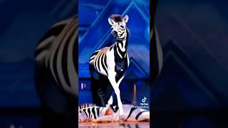 Кто нибудь понял как? What is that#show #talent #шоуталантов #зебра #zebra