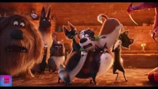 The Secret Life Of Pets  2017  The Ritual - Viper Death (4/5) DopeClips