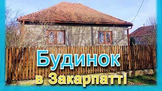 ПРОДАЖ будинку в селі біля Берегова з великою ділянкою. Огляд хати.