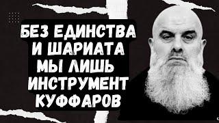 Голосовой Чат (чеч.яз.) Абу Хамза: Без единства и шариата мы лишь инструмент куффаров