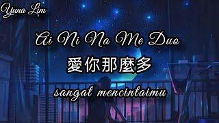 Ai Ni Na Me Duo 愛你那麼多 (sangat mencintaimu) Chen Rui 陳瑞 Lyrics