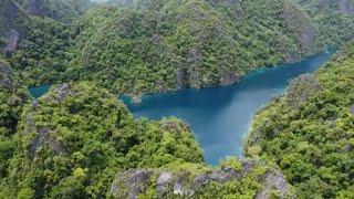 The Kayangan Lake - Coron's Best Tourist Destination | Wiztatz Tv