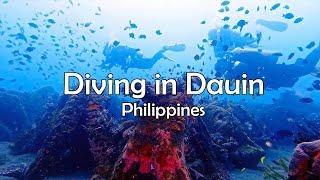 Unbelievable Encounters: Scuba Diving in Dauin, Philippines