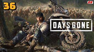 Days Gone. Во благо других. Прохождение № 36. (ПК)