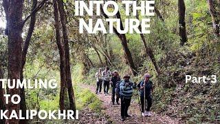 Sandakphu Trek || Tumling to Kalipokhri Trek