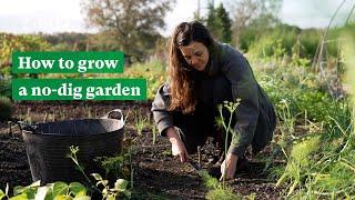 How to grow a No-Dig Garden | The RHS