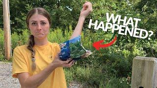 Katie's MTB Accident at Raystown Mountain Bike Skills Park