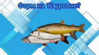 Река Белая\Ловля на Вертушки\РР4\Русская рыбалка 4