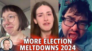 MORE ELECTION MELTDOWNS 2024 EDITION️