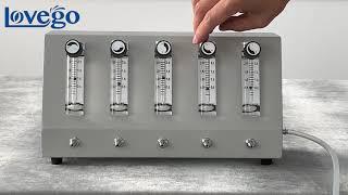 Lovego Flow Splitter for Oxygen Concentrator, Oxygen Cylinder