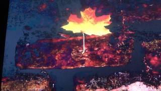 AUTUMN LEAVES COVER CELIA