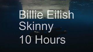 【10 Hours】Billie Eilish - Skinny