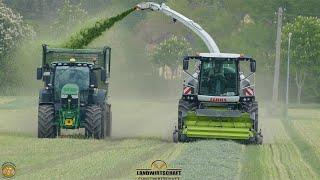 Grünroggen - Getreide Häckseln I CLAAS JAGUAR 980 Black Beauty Ganzpflanzensilage GPS 2020